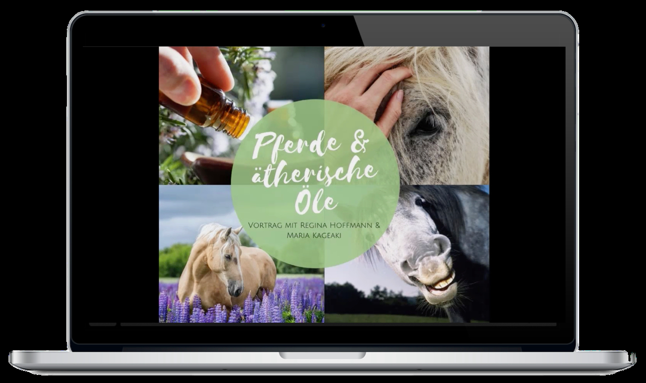 Vorschau: Video „Pferde & ätherische Öle